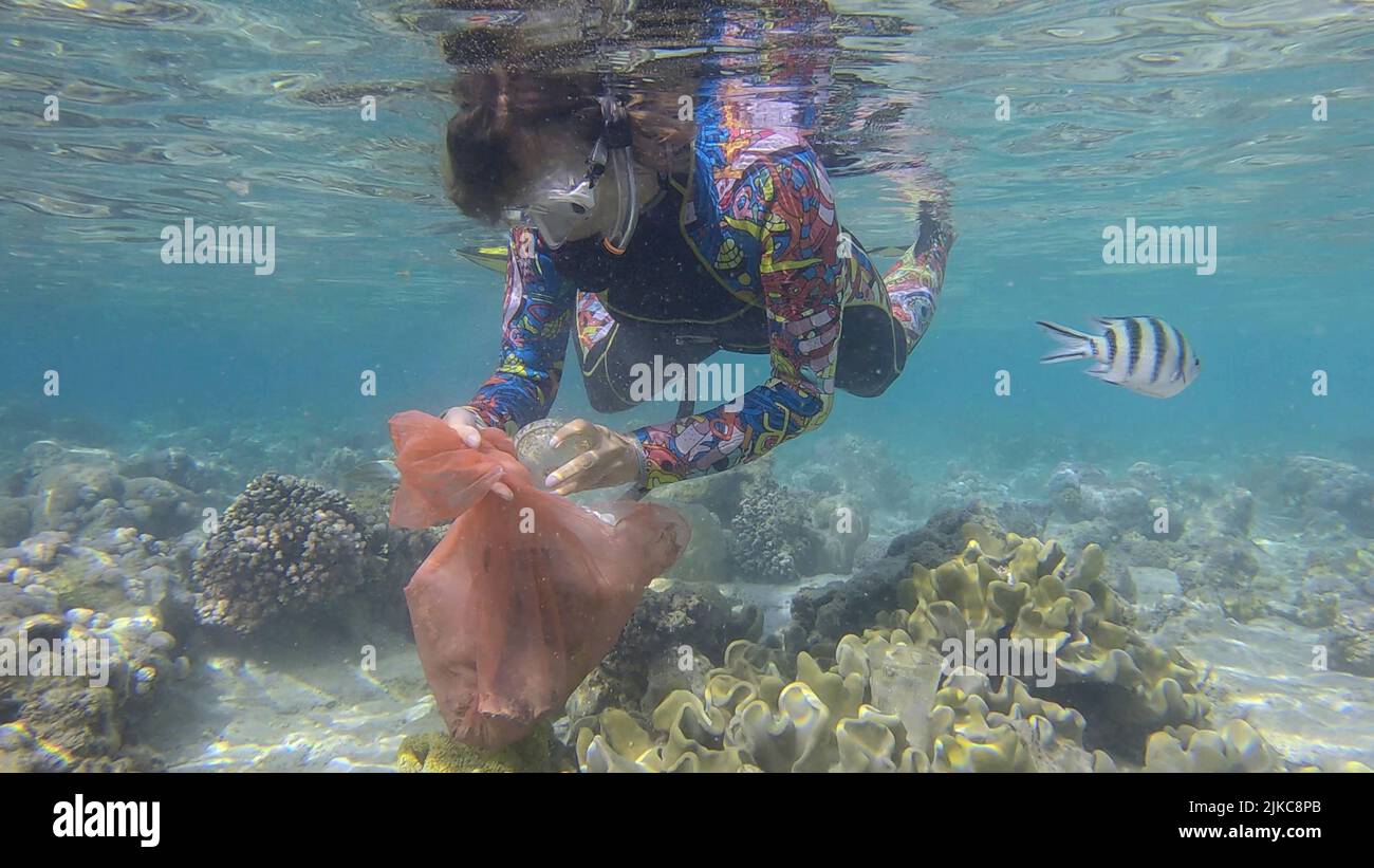 Femme en équipement de plongée nage et recueille des débris de plastique sous l'eau sur le fond du récif de corail. Le snorkeler nettoie l'océan de la pollution plastique. P Banque D'Images