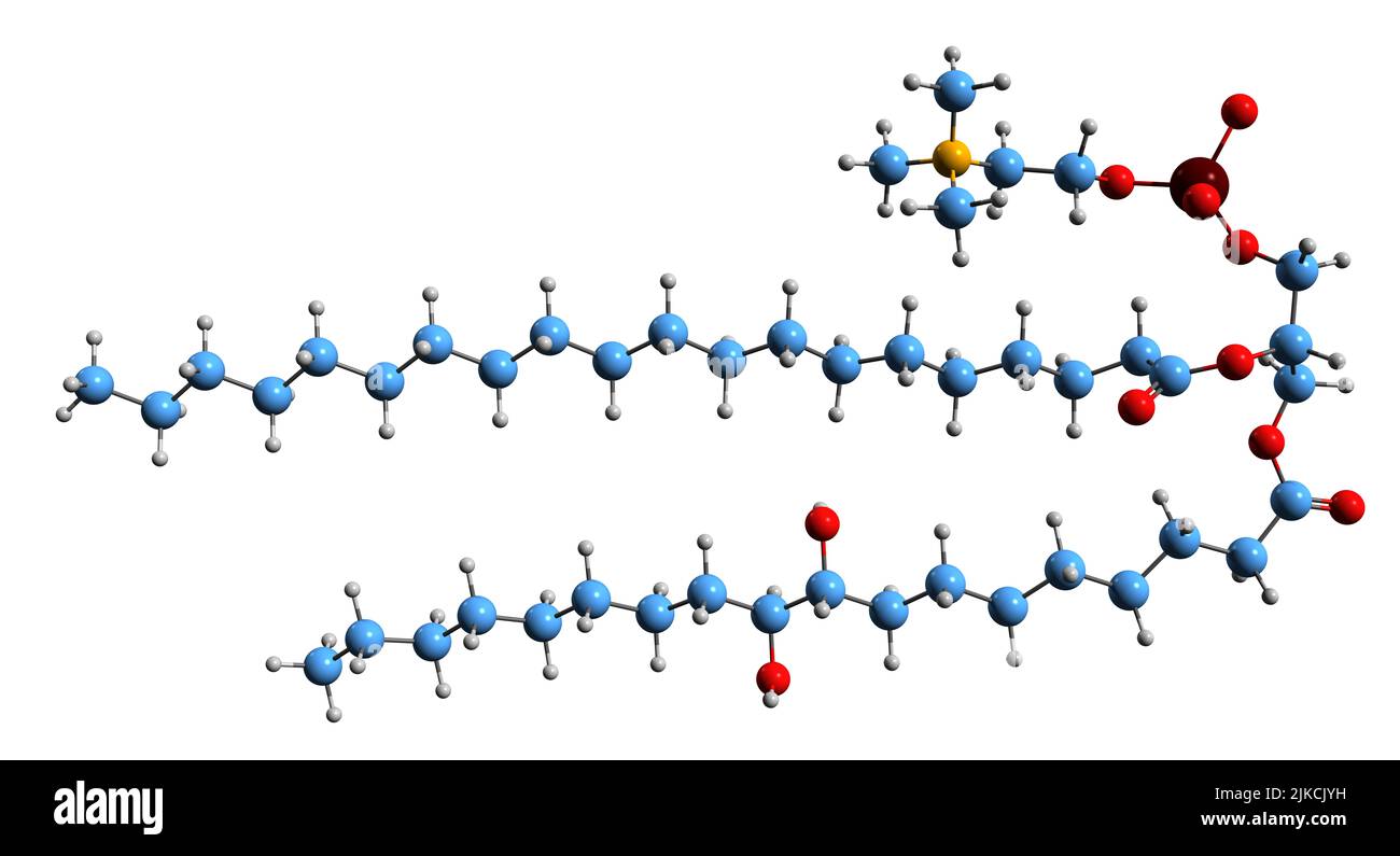 3D image de la formule squelettique de la lécithine hydroxylée - structure chimique moléculaire de la lécithine chimiquement modifiée isolée sur fond blanc Banque D'Images