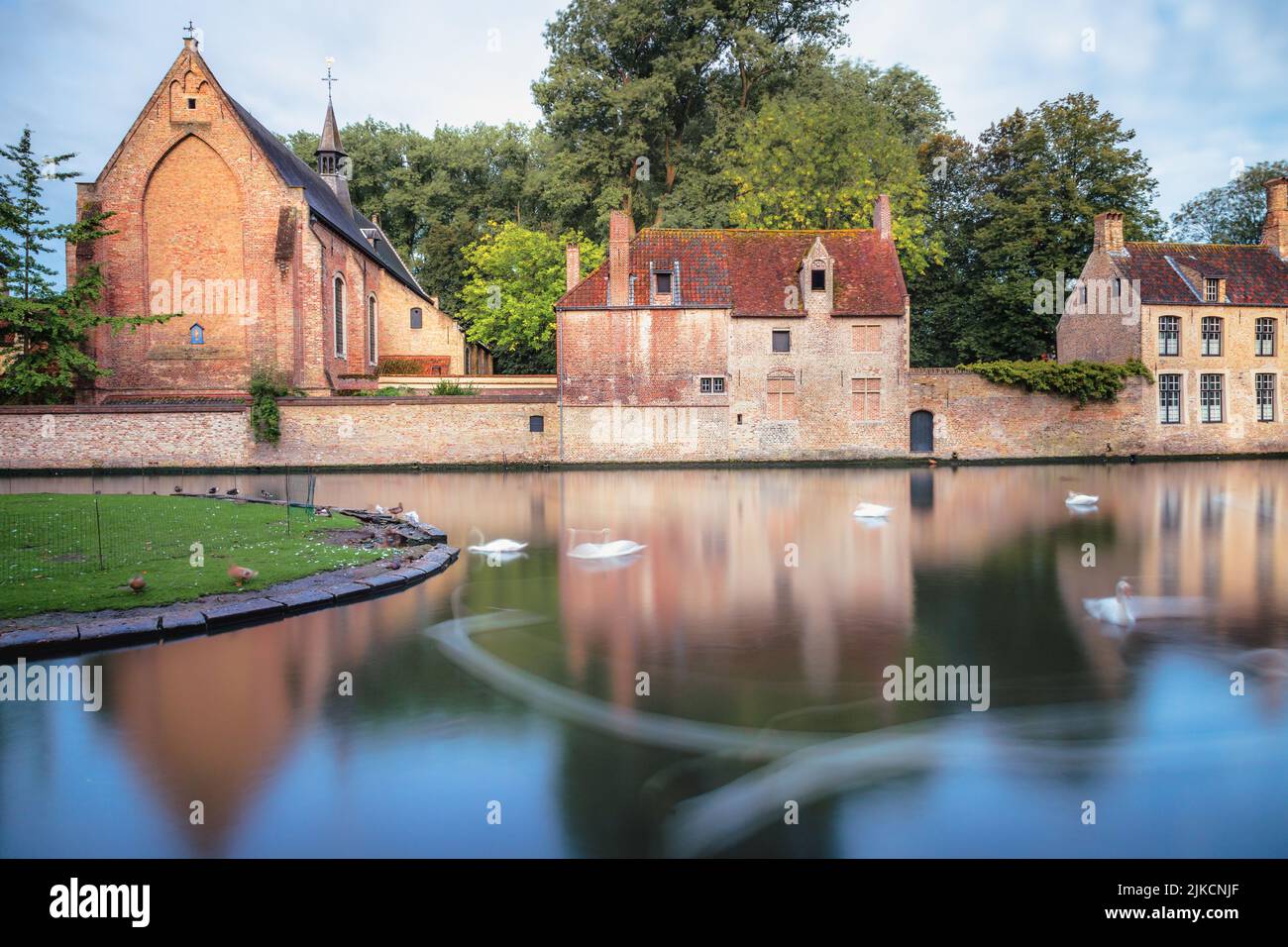 Swans flous flottant sur les eaux du canal de Brugge avec réflexion, Belgique Banque D'Images