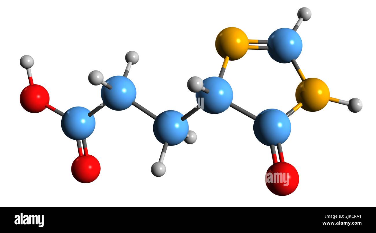 3D image de la formule squelettique de l'acide imidazol-4-one-5-propionique - structure chimique moléculaire de l'intermédiaire du métabolisme de l'histidine isolé sur le bac blanc Banque D'Images