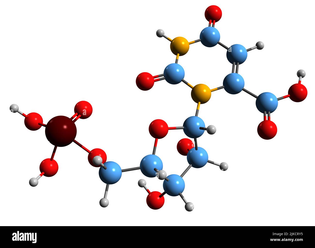 3D image de la formule squelettique de l'orotidine 5-monophosphate - structure chimique moléculaire du nucléotide pyrimidine OMP isolé sur fond blanc Banque D'Images