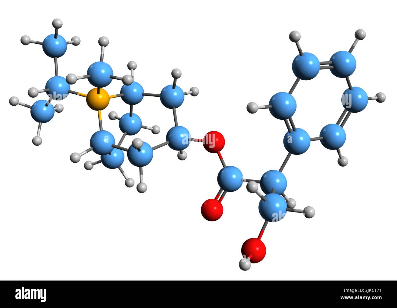 3D image de la formule squelettique du bromure d'Ipratropium - structure chimique moléculaire du médicament anticholinergique isolé sur fond blanc Banque D'Images