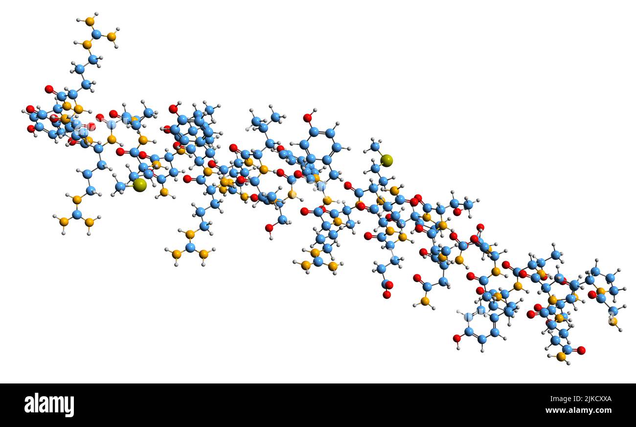 3D image de la formule squelettique des polypeptides pancréatiques - structure chimique moléculaire des cellules PP polypeptide isolé sur fond blanc Banque D'Images