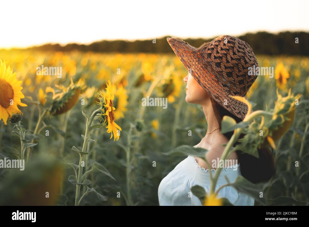 Une jeune fille dans une robe blanche et un chapeau dans un champ de tournesols au coucher du soleil. Portrait d'une femme avec une silhouette mince sur un fond de fleurs jaunes Banque D'Images