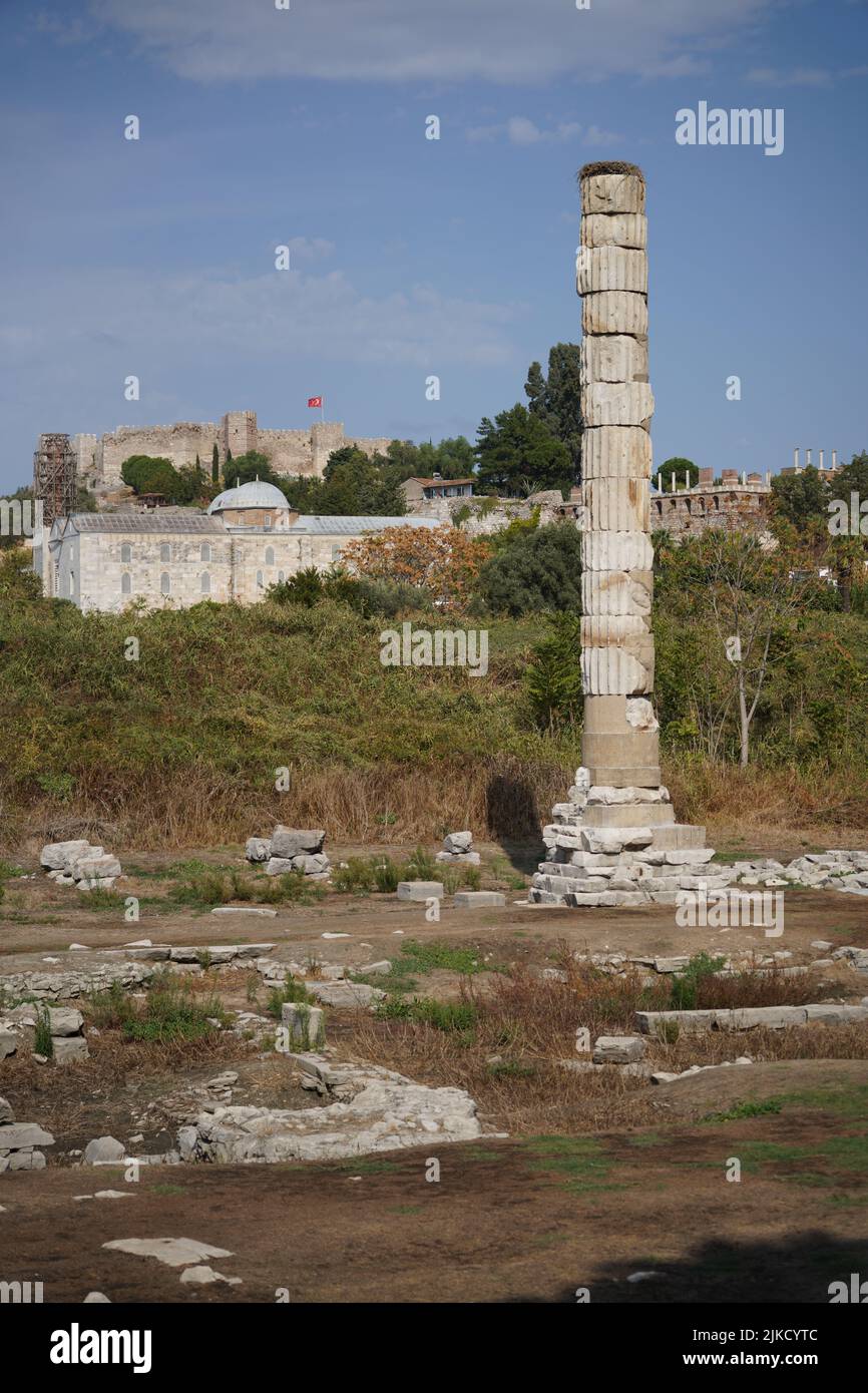 Un coup vertical de ruine dans le Temple d'Artemis à Éphèse en Turquie était l'un des plus importants sanctuaires anciens Banque D'Images