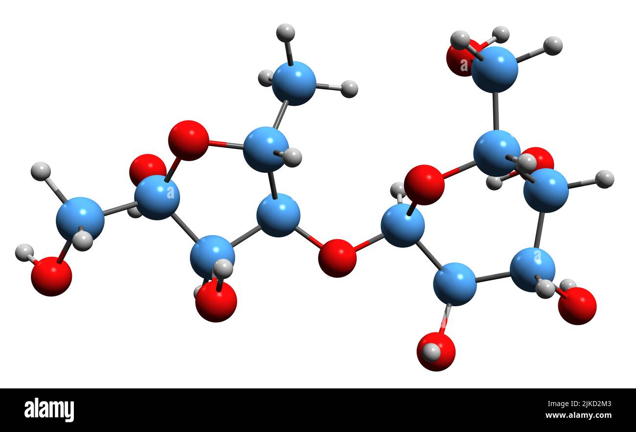 3D image de la formule du squelette de Lactulose - structure chimique moléculaire du sucre non absorbable isolé sur fond blanc Banque D'Images