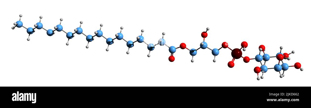 3D image de la formule squelettique du lysophosphatidylinositol - structure chimique moléculaire du lysophospholipide endogène isolé sur fond blanc Banque D'Images