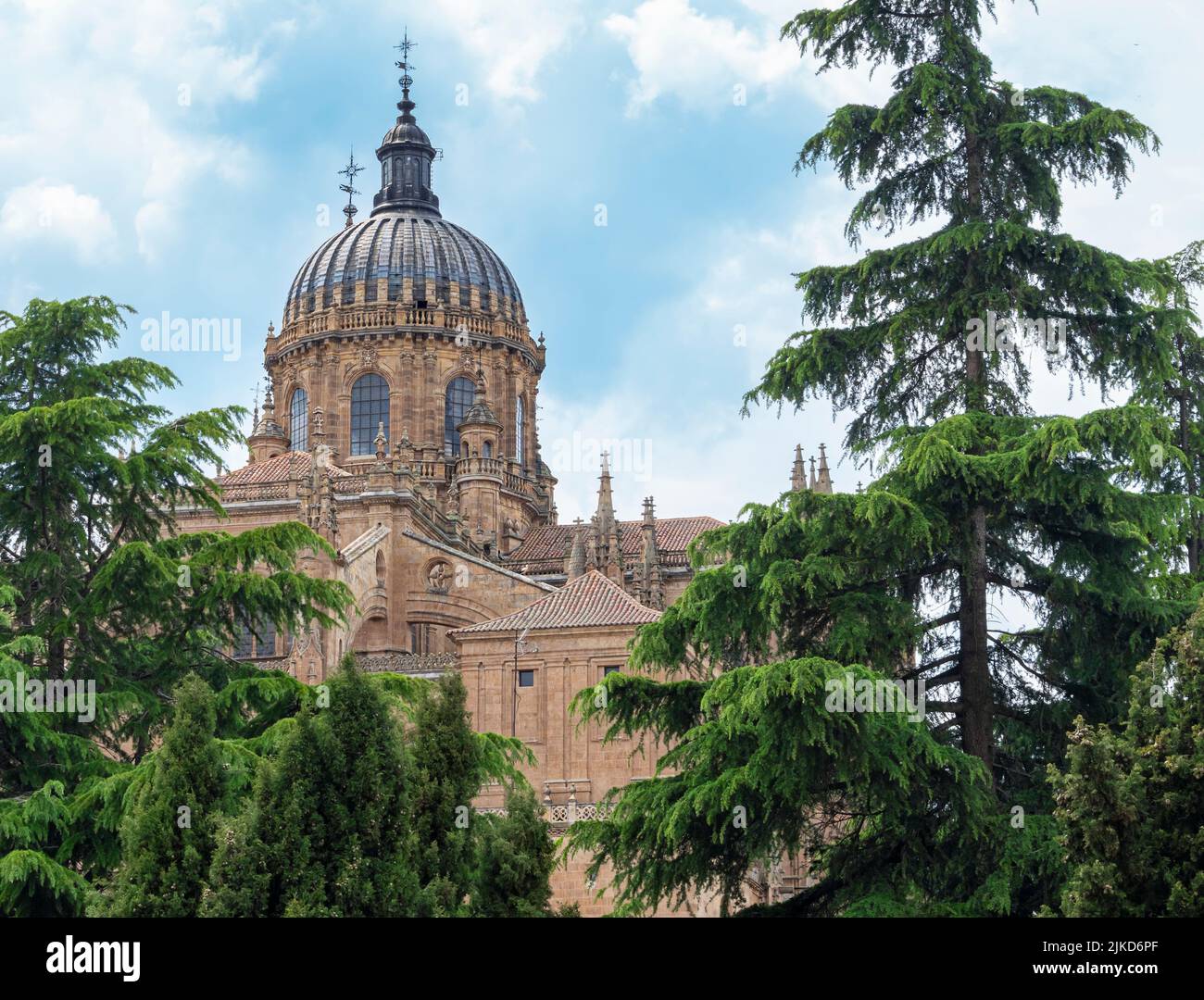 La majestueuse cathédrale gothique du XVIe siècle de Salamanque, Espagne Banque D'Images