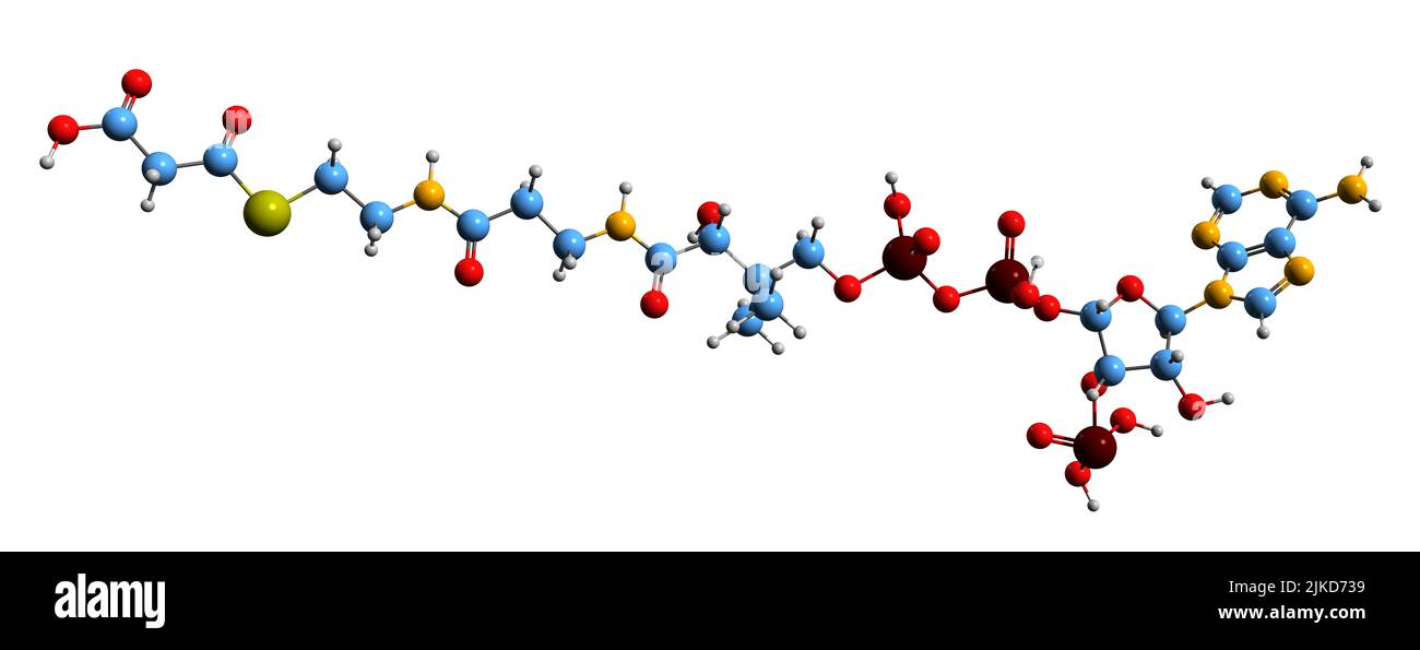 3D image de formule squelettique de malonyl-CoA - structure chimique moléculaire du dérivé de la coenzyme A isolé sur fond blanc Banque D'Images