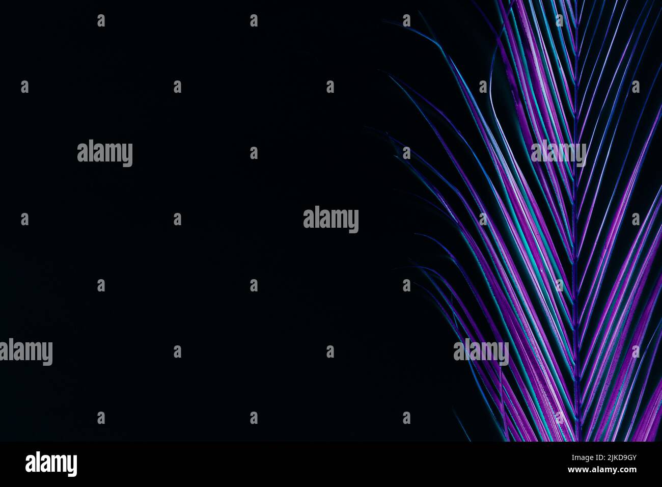 art au néon surréaliste noir de feuilles de palmier Banque D'Images