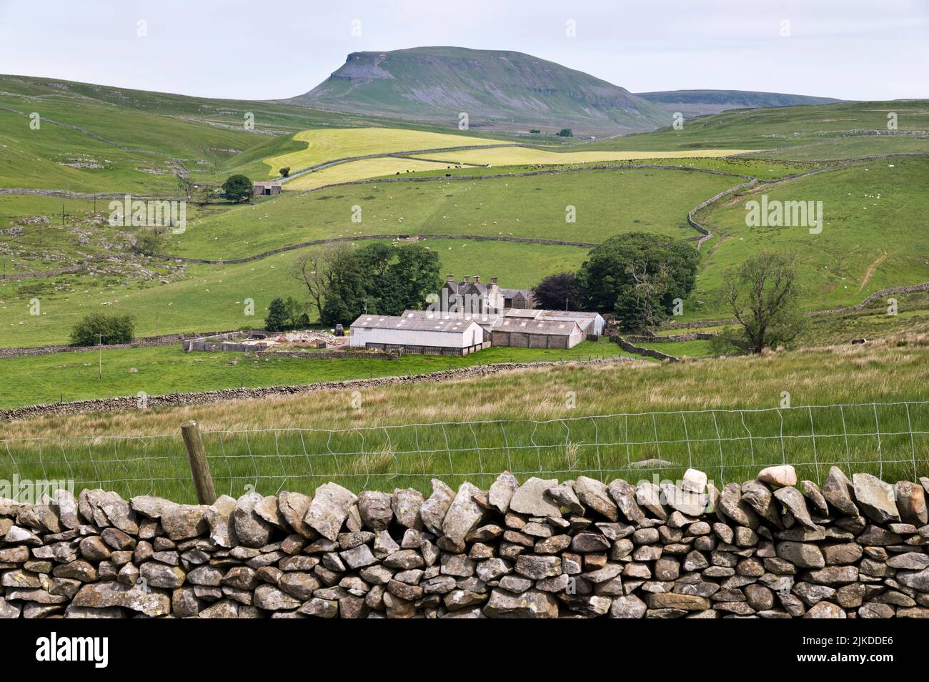 Pic de PEN-y-gand depuis Malham Moor, parc national des Yorkshire Dales. Au premier plan se trouve Neals ing Farm. Banque D'Images