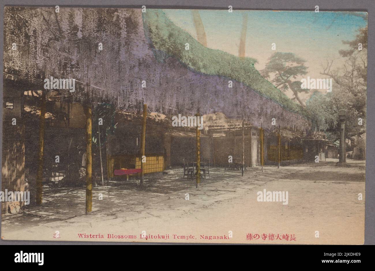 La wisteria fleurit Temple Daitokuji, Nagasaki. Pacific Pursuit : cartes postales Japon - Nagasaki. Lieu: Made in Japan Éditeur: s.n. Nagasaki-shi Banque D'Images