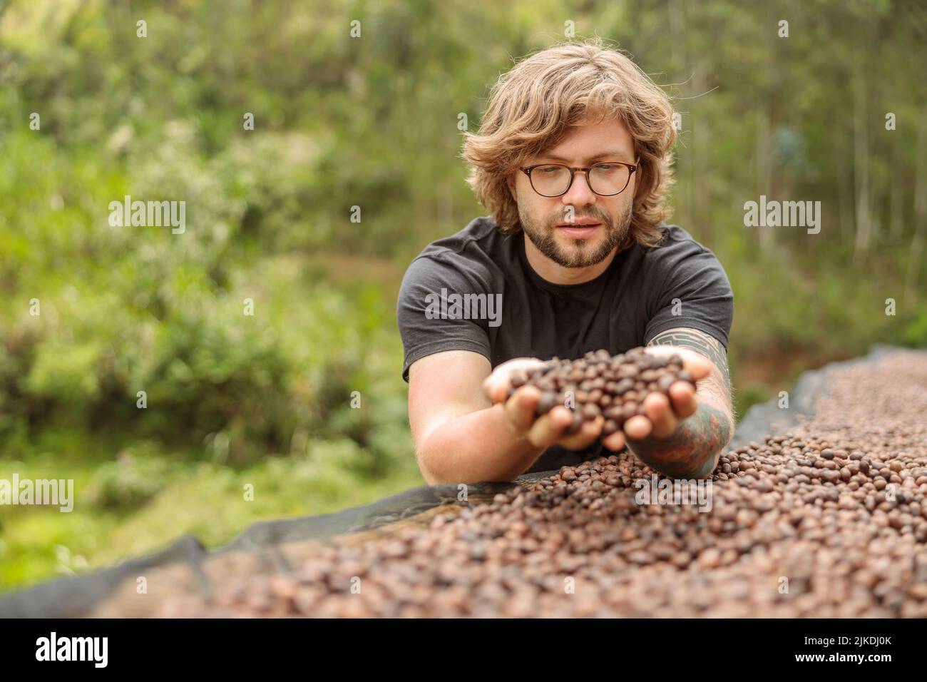 Jeune homme dans des verres montrant des grains de café séchés à la main Banque D'Images