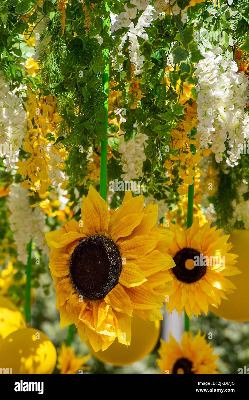 tournesol jaune vif coloré dans un grand écran floral, tournesol géant jaune et vert, arrangement de fleurs avec des tournesol jaunes géants. Banque D'Images