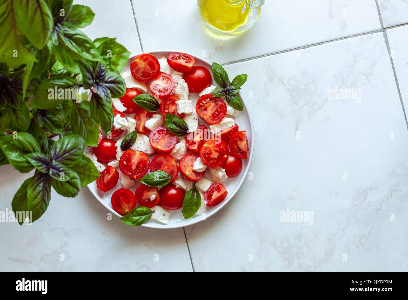 salade caprese sous la plante de basilic de jardin de la maison, vue de dessus, copyspace Banque D'Images