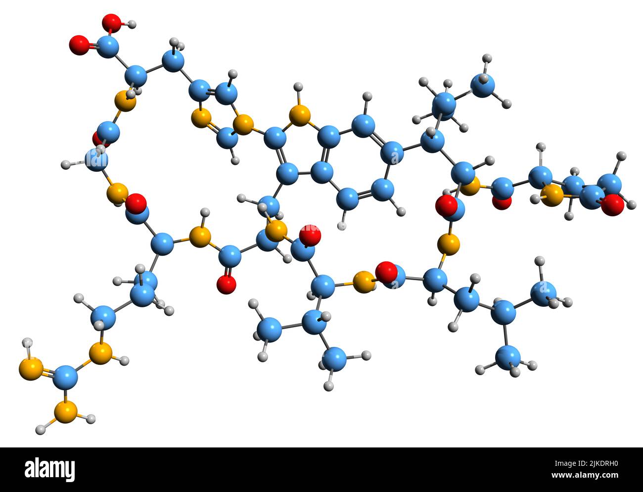 3D image de formule squelettique de Moroidine - structure chimique moléculaire de l'agent anti-mitotique - octapeptide bicyclique isolée sur fond blanc Banque D'Images