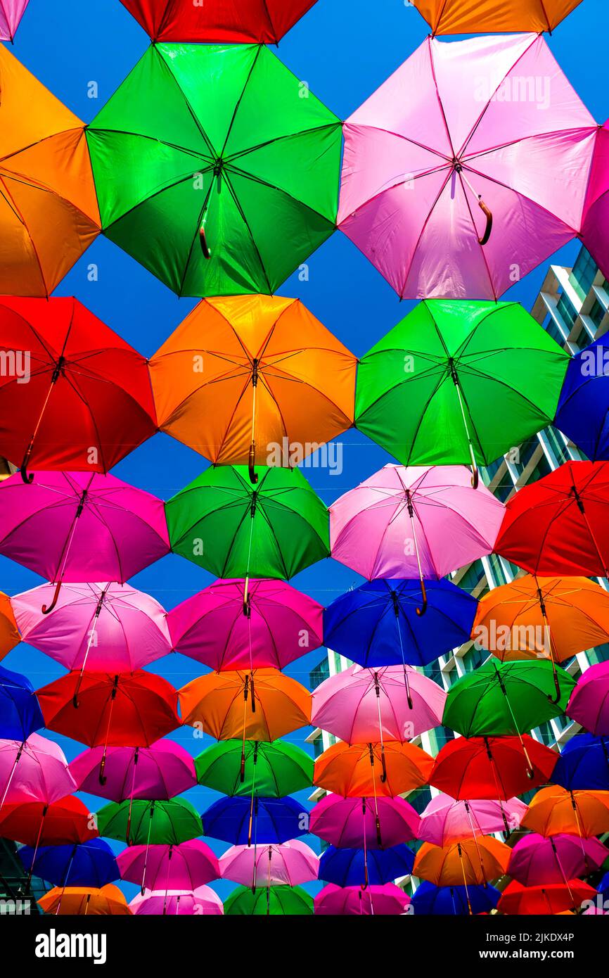 Affichage parapluie Banque D'Images