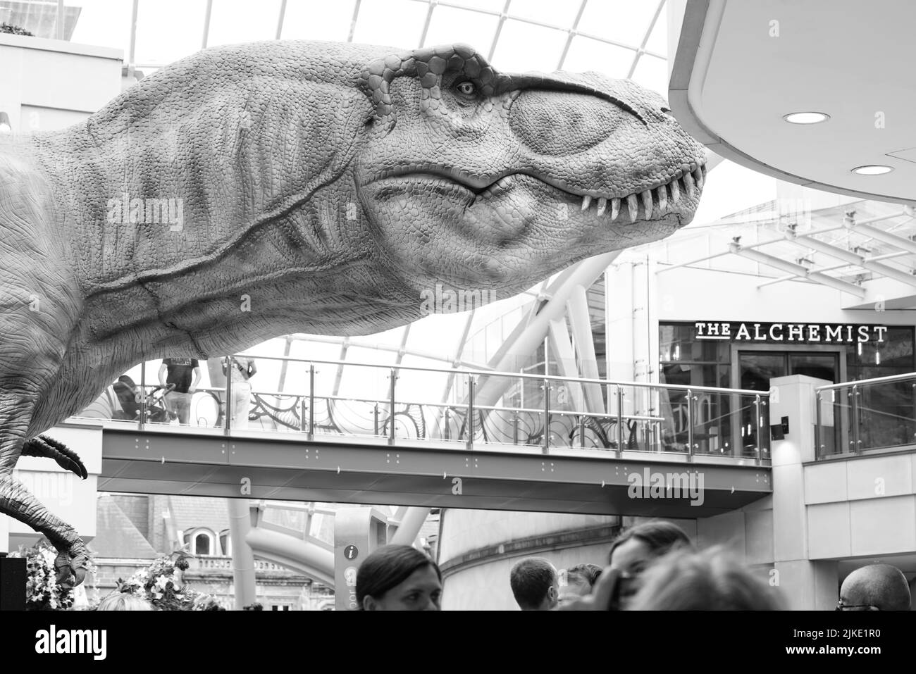 Leeds Jurassic Trail Trinity Shopping Centre 2022 Banque D'Images