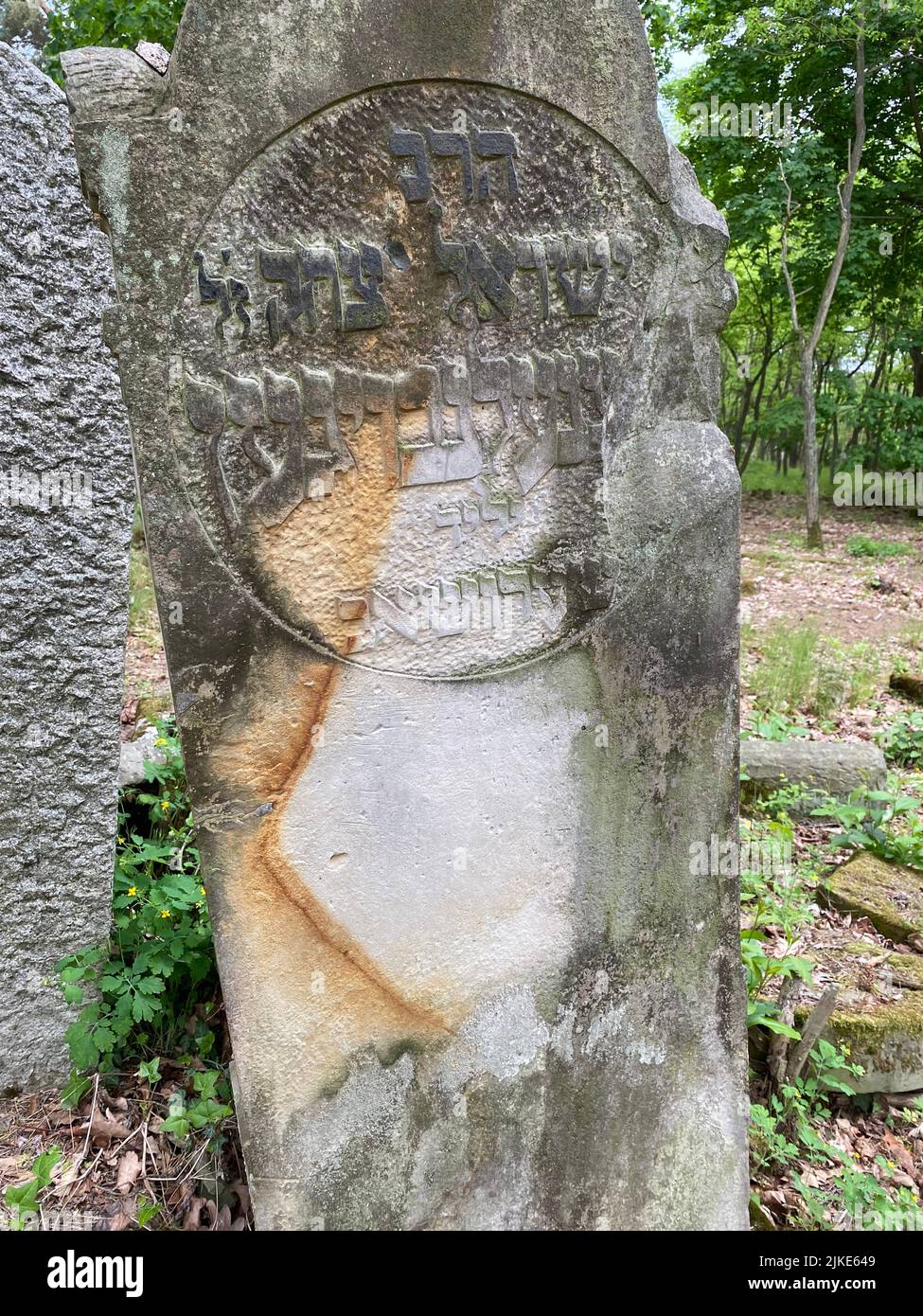 Ruines de l'ancien cimetière juif à Otwock Pologne cmentarz żydowski W Otwock pierres à tête cimetière juif tombe juive beit kvarot tombe juive Banque D'Images