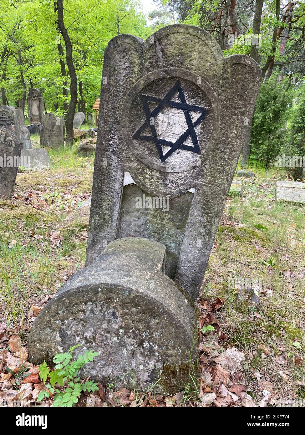 Ruines de l'ancien cimetière juif à Otwock Pologne cmentarz żydowski W Otwock pierres à tête cimetière juif tombe juive beit kvarot tombe juive Banque D'Images
