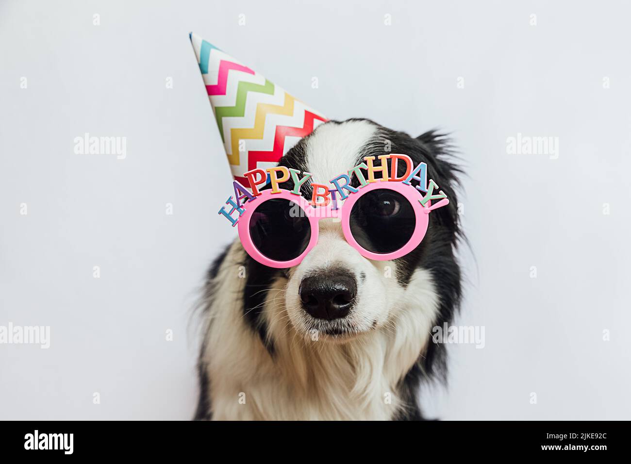 Concept de fête d'anniversaire. Drôle mignon chiot chien bordure collie portant anniversaire chapeau et lunettes isolés sur fond blanc. Chien le jour de l'anniversaire Banque D'Images