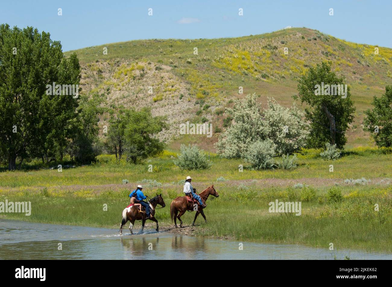 Deux cow-boys et un enfant à cheval traversent la rivière Little Bighorn, Crow Agency Montana Banque D'Images