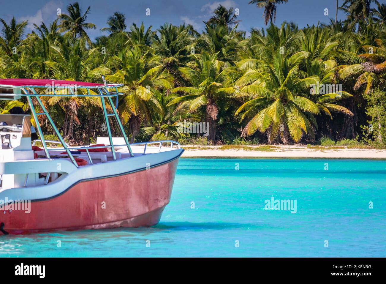 Paradis tropical: plage des caraïbes avec un seul palmier et un bateau, Punta Cana Banque D'Images