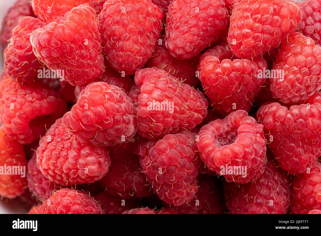 Fond de framboises fraîches et douces. Framboises mûres fraîches et biologiques. Bouquet de framboises roses rouges. Vue du dessus Banque D'Images