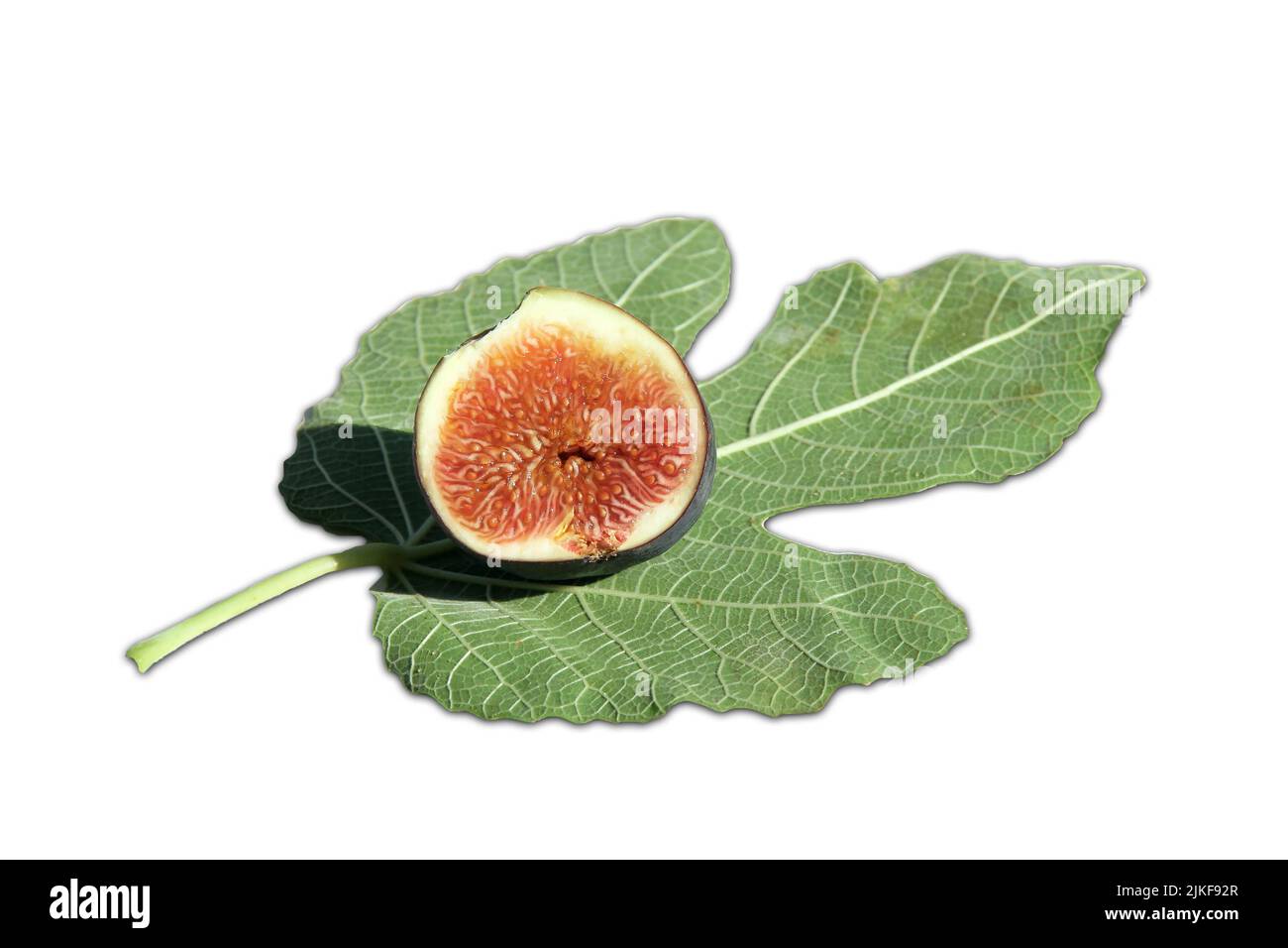 Délicieux brun Fig sur Fig feuille isolée sur blanc Banque D'Images