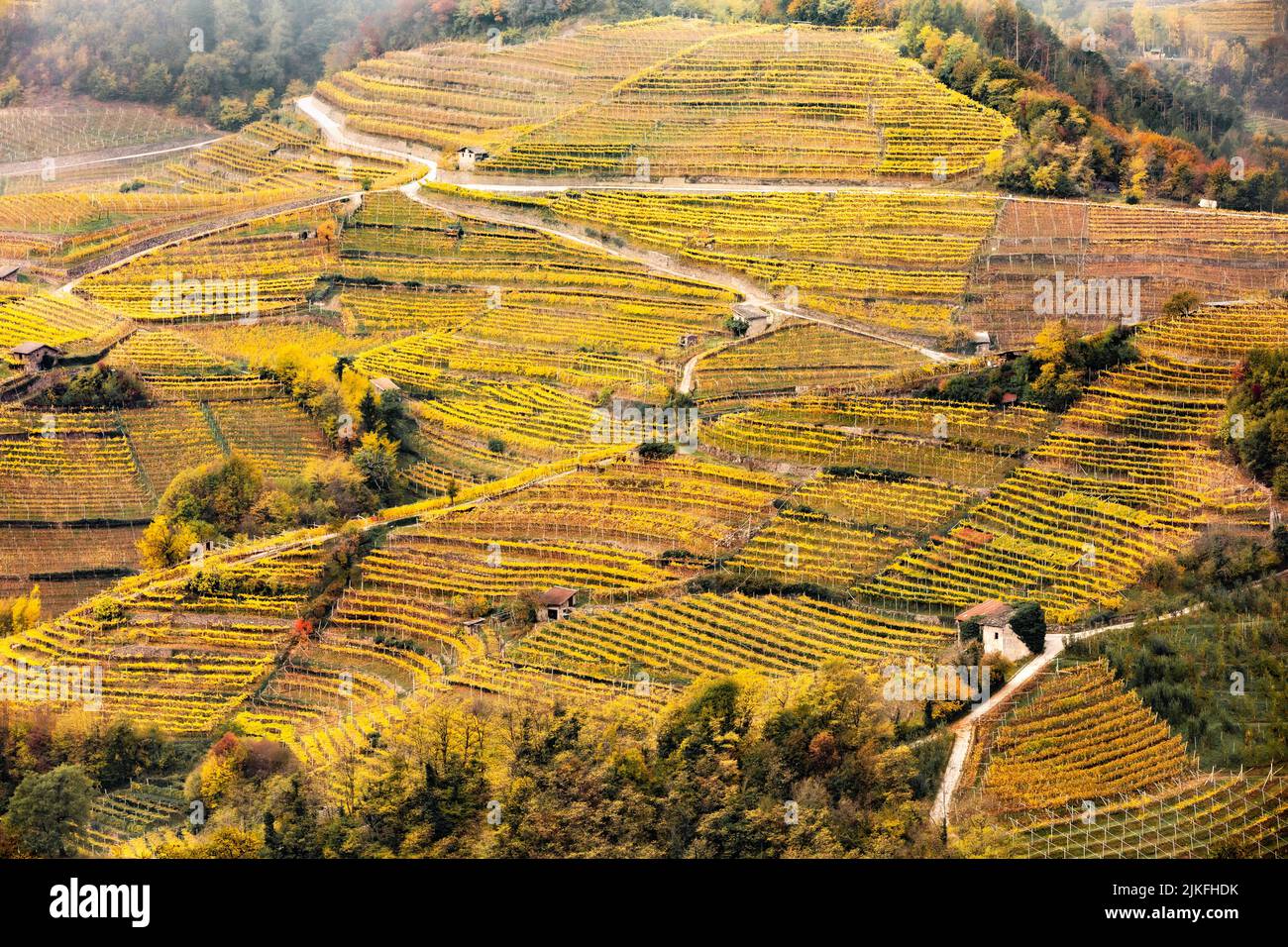 Vallée viticole en Italie Banque D'Images