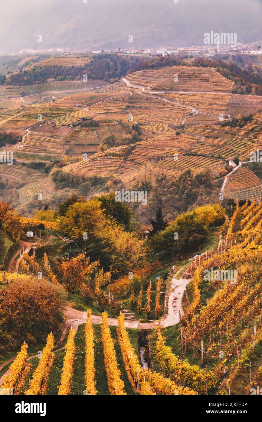 Vallée viticole en Italie Banque D'Images