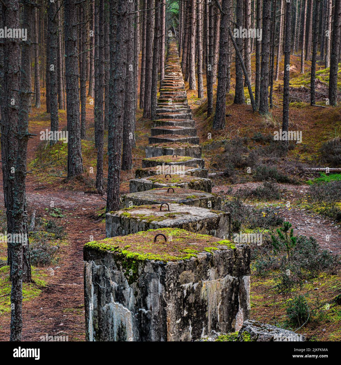 Les vestiges des défenses côtières de Moray traversent la forêt de Lossie, où vous pouvez encore découvrir des preuves de la variété des défenses construites: Un unbr Banque D'Images