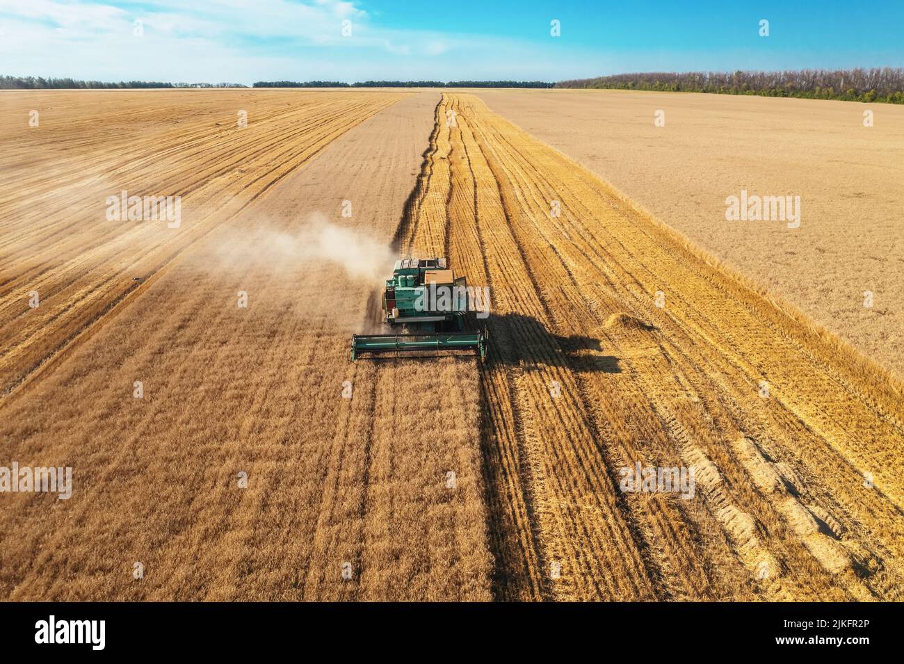 La moissonneuse-batteuse récolte une vue aérienne de blé mûr. Champ agricole et concept d'agriculture. Banque D'Images