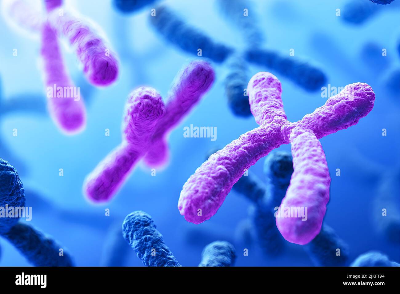 Image conceptuelle d'un caryotype cellulaire montrant la trisomie, trois copies d'un chromosome. Banque D'Images