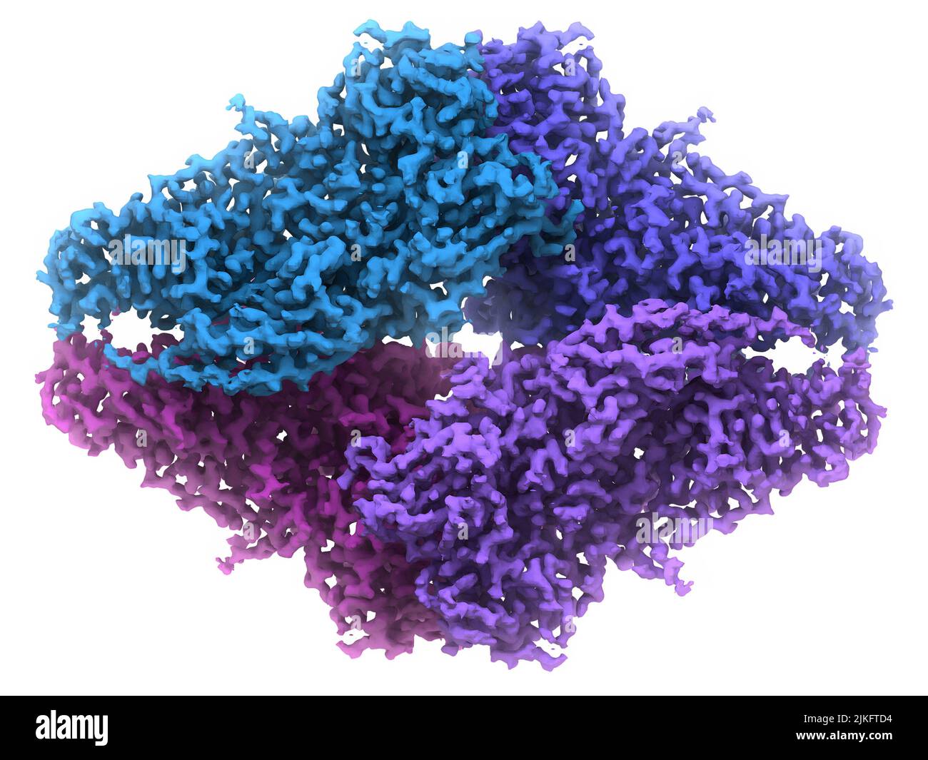 -Carte de densité électronique de résolution de galactosidase. Banque D'Images