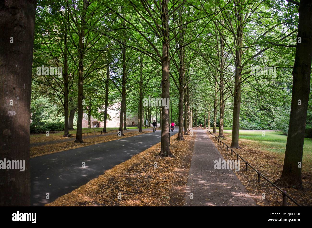 Münster, Allemagne, 29 juillet 2022: Sentier et piste cyclable entre quatre rangées d'arbres sur la promenade de la ville autour du centre historique Banque D'Images