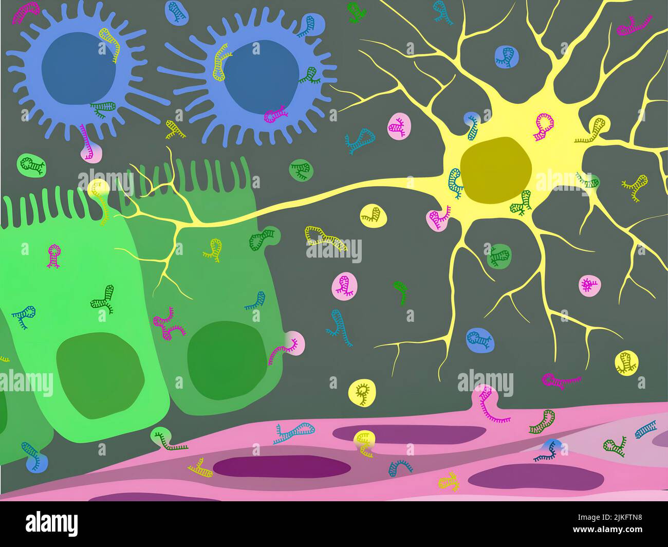 L'ARN, autrefois considéré comme n'existant que dans les cellules, est maintenant connu pour être exporté des cellules et joue un rôle dans les mécanismes nouvellement découverts de communication cellule à cellule. Le Programme de communication de l'ARN extracellulaire du Fonds commun vise à découvrir les principes biologiques de base de l'ARN extracellulaire (exARN) et à explorer la possibilité d'utiliser des exARN comme biomarqueurs de maladies ou molécules thérapeutiques. Banque D'Images