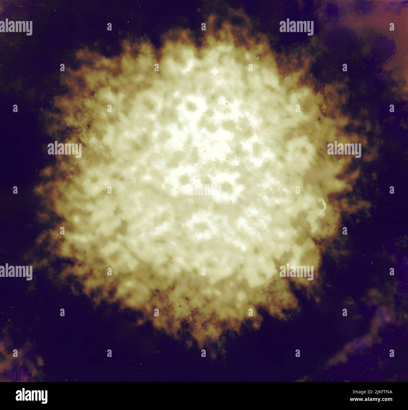 Micrographe électronique semblable au feu du virus de l'herpès simplex. Banque D'Images