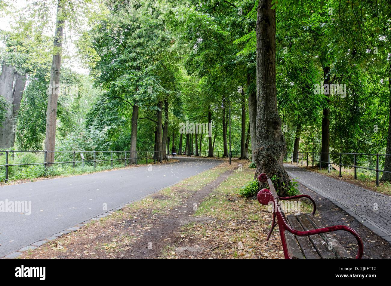 Münster, Allemagne, 29 juillet 2022 : scène tranquille sur la promenade autour du centre-ville, avec un banc de parc, des chemins pour les vélos et les piétons et fou Banque D'Images