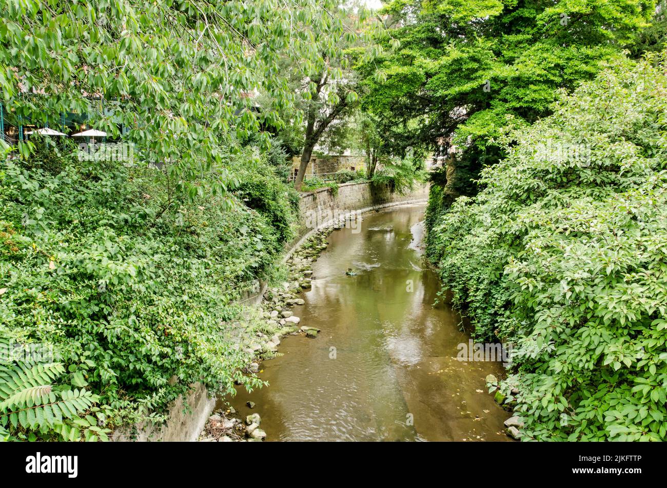 Münster, Allemagne, 29 juillet 2022: Zone luxuriante et verte le long de la rivière AA, en plein milieu de la ville Banque D'Images