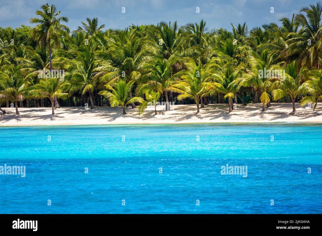Paradis tropical : plage idyllique des caraïbes avec palmiers, Punta Cana, Saona Banque D'Images