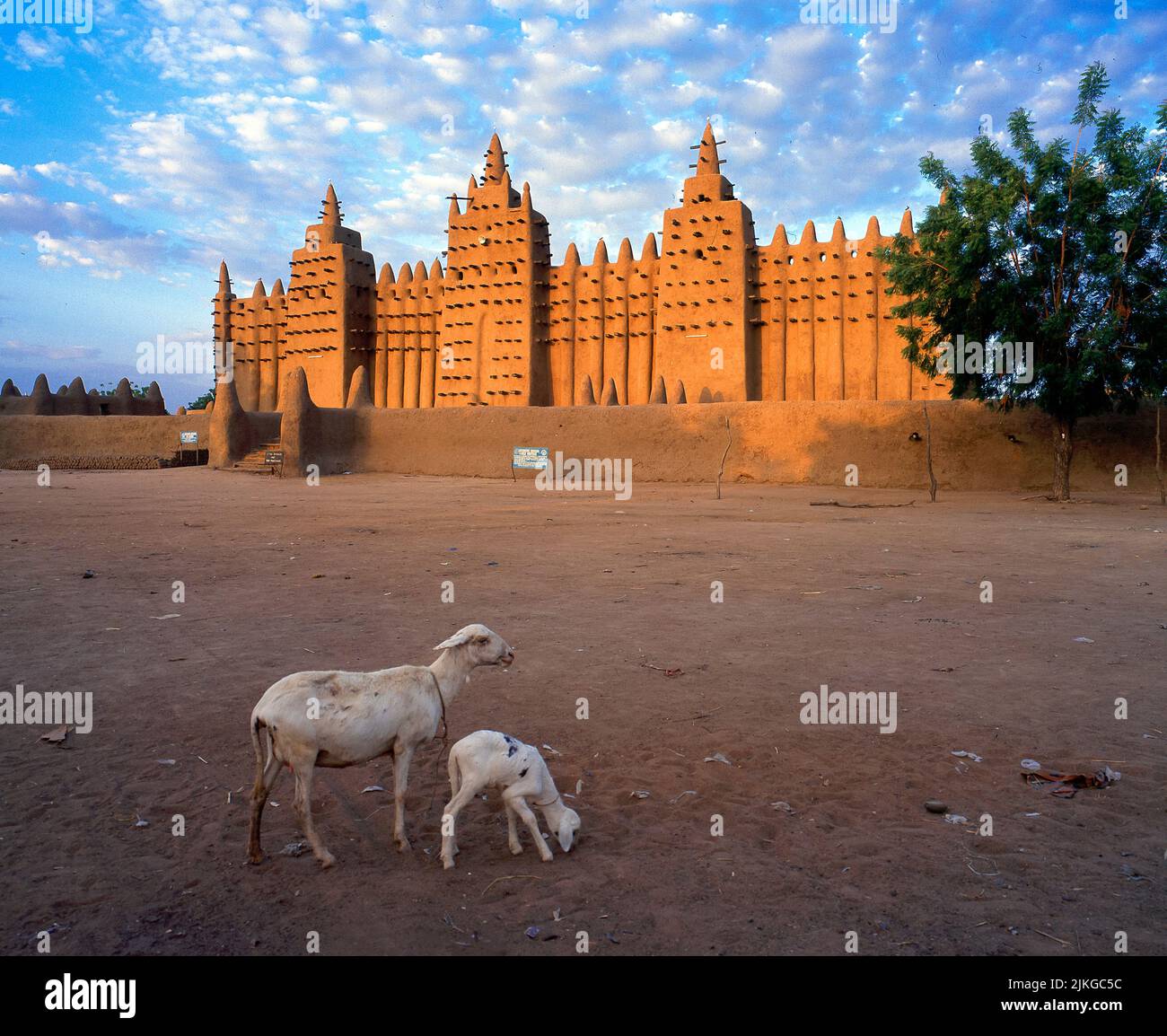 Grande mosquée de Djenné à la lumière du matin, Mali. Classé au patrimoine de l'UNESCO, c'est l'un des bâtiments religieux les plus uniques au monde. Banque D'Images