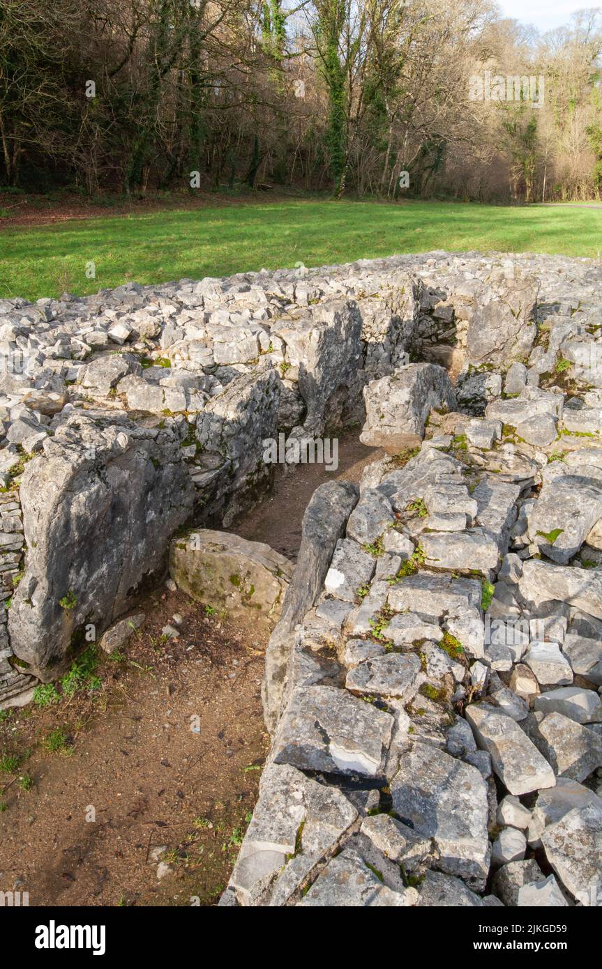 Parc MCG long cairn, tombe géante, Gower, pays de Galles, Royaume-Uni Banque D'Images