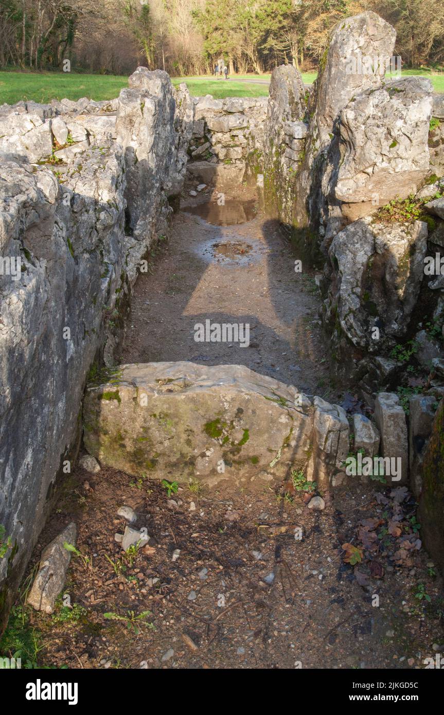 Parc MCG long cairn, tombe géante, Gower, pays de Galles, Royaume-Uni Banque D'Images