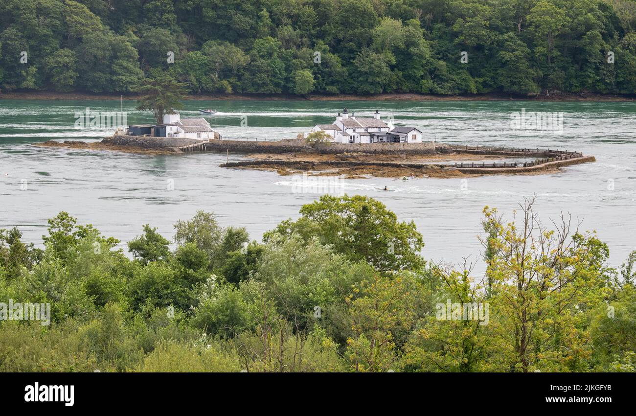 Whiteappât Island et kayakistes dans les courants de tourbillon de Swellies, Menai Strait entre Anglesey et le continent, pays de Galles Banque D'Images