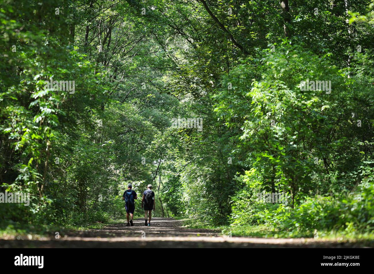 Geesthacht, Allemagne. 02nd août 2022. Deux marcheurs marchent le long d'un chemin ombragé à travers une zone boisée près de Hambourg en été. Credit: Christian Charisius/dpa/Alay Live News Banque D'Images