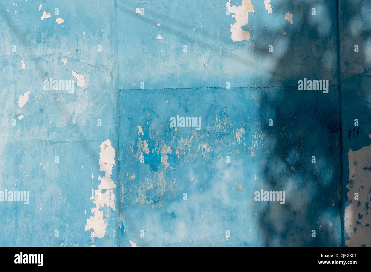 Un gros plan d'une vieille texture de mur en bois bleu abîmé Banque D'Images