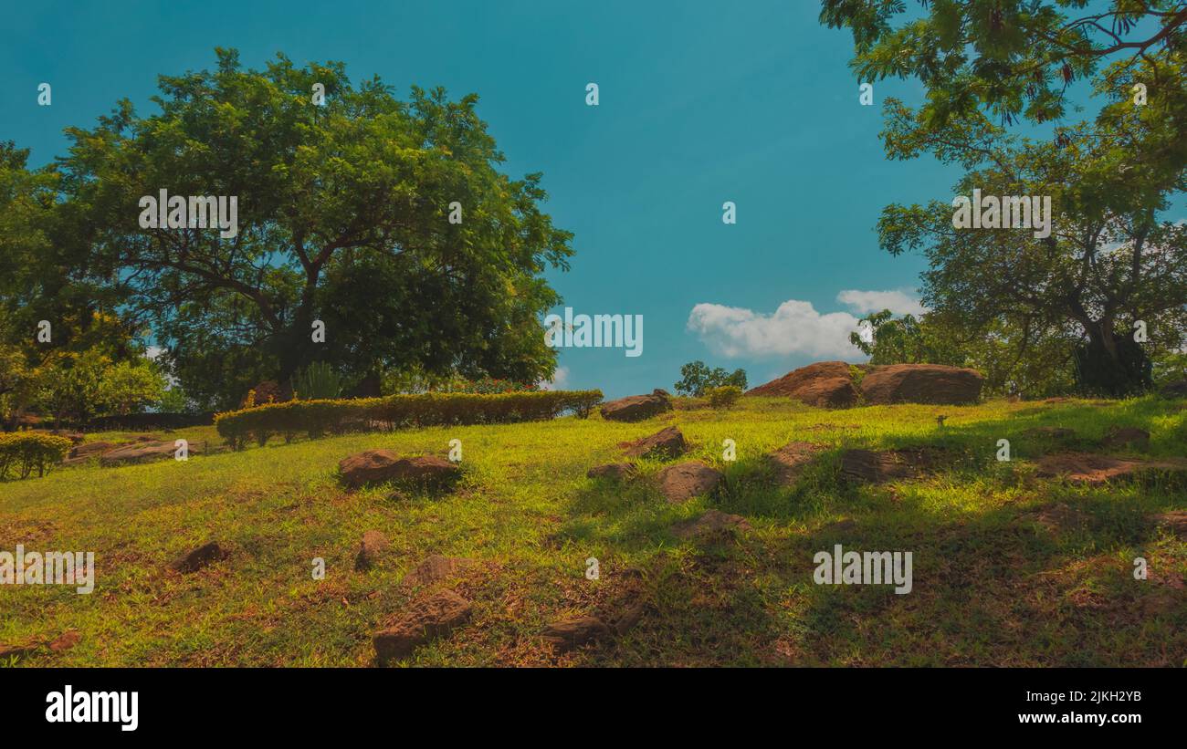 Photo d'une forêt rurale verte à Abuja, au Nigéria Banque D'Images