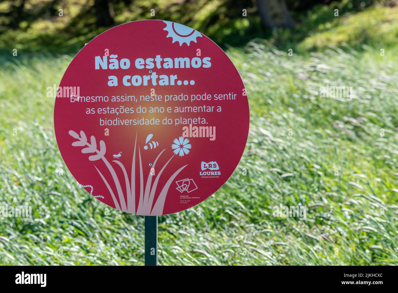 Des informations sur l'espace où les insectes pollinisateurs trouvent une source alimentaire essentielle dans la biodiversité Banque D'Images