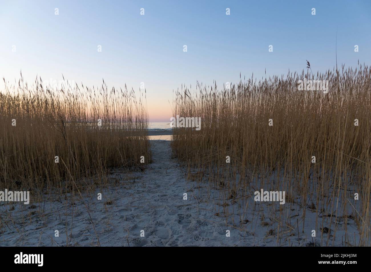 Vue sur la mer, mer Baltique, plage, plage de sable, vacances, loisirs, mer Banque D'Images